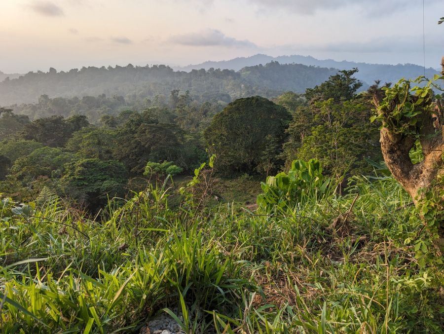 Forested hills under evening mist.